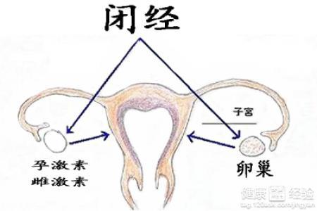 继发性闭经症状 什么是继发性闭经