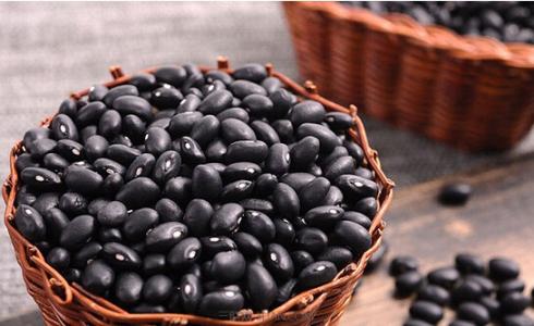 荷叶的选购储存 黑豆的选购和储存方法