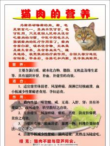 猫肉的营养价值 猫肉的营养价值和食疗功效