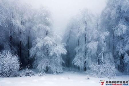 宛如仙境 全球冬季“绝色美景”，冰天雪地宛如仙境