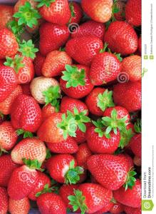 如何挑选草莓 草莓如何挑选 怎么挑好的草莓