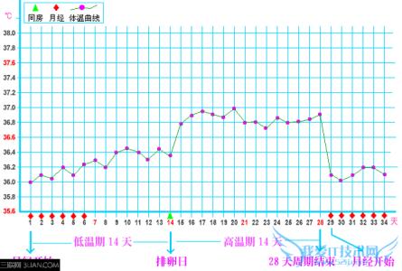 基础体温测量表下载 测量基础体温有什么意义