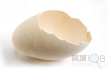 巧剥鸡蛋壳 巧用蛋壳（二）
