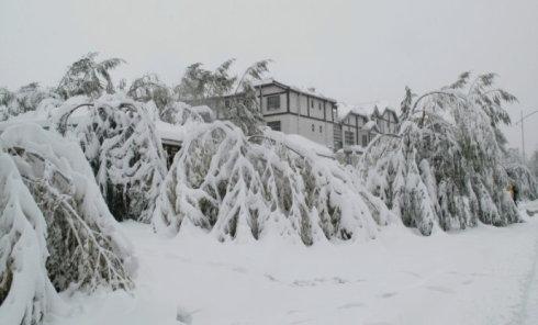 立冬如何养生 立冬时节应如何运动