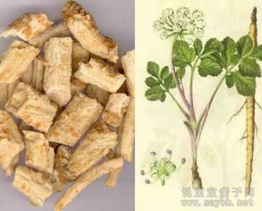 北沙参的功效与作用 北沙参的食疗作用及做法指导