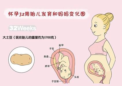 吃什么有助于卵泡发育 孕妈吃栗子有助胎宝发育