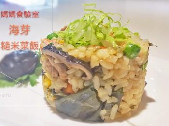 糙米 黄金糙米菜饭