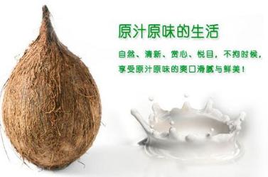 椰子粉的功效与作用 椰子粉的食用功效