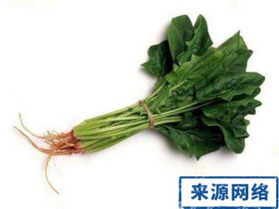 菠菜根的营养价值 菠菜根的主要价值