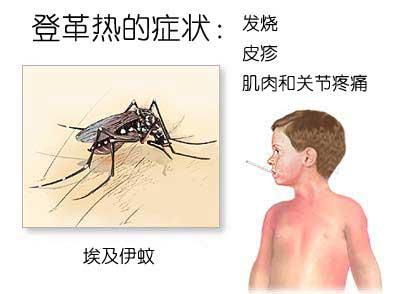 如何防蚊子叮咬 秋季如何防蚊子叮咬