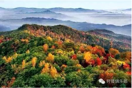 桃山国际狩猎场 黑龙江大小兴安岭桃山国际狩猎场