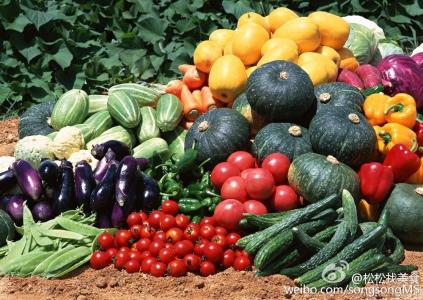 怎样挑选蔬菜 怎样挑选健康蔬菜