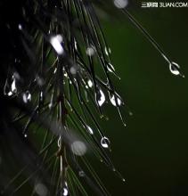 宅女侦探桂香 电影 桂香缭绕，雨季那场邂逅