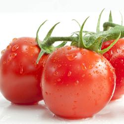 小番茄的功效与作用 番茄的做法及功效作用