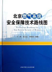 保障燃气锅炉安全 燃气新技术 安全有保障