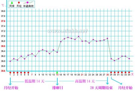 体温监测排卵如何同房 基础体温如何监测排卵