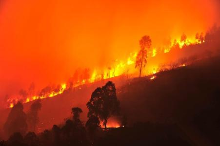 如何防止火灾发生 如何防止森林火灾发生