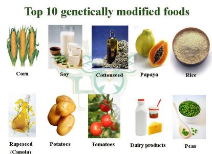 转基因食品种类 转基因食品的种类有哪些