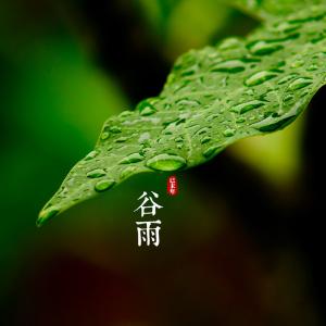 立夏是什么节气 谷雨是什么节气