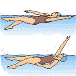 蝶泳的技术动作要领 蝶泳的姿势动作要领