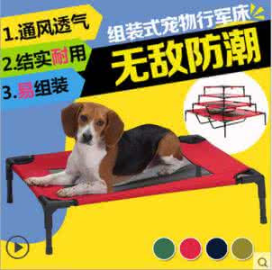 选择床垫要注意什么 选择狗狗床垫需要注意的事