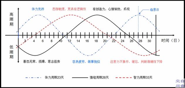 生物节律 关于生物节律与交通安全