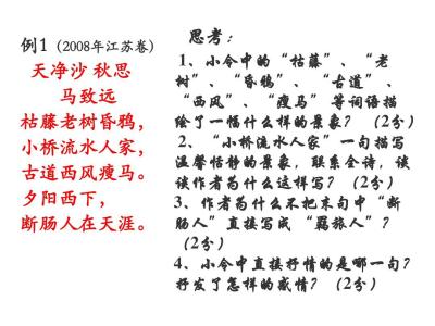 中考语文要怎么复习