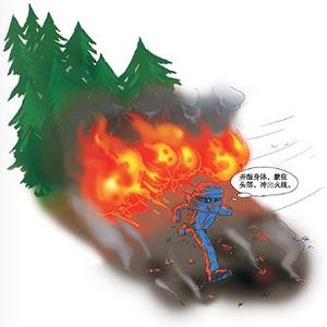 遭遇火灾如何自救 遭遇森林火灾时的自救技巧