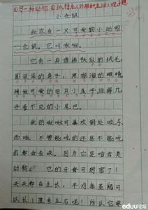 做家务作文300字 假期里做家务作文300字(2)