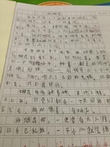 做家务的作文 第一回做家务作文900字