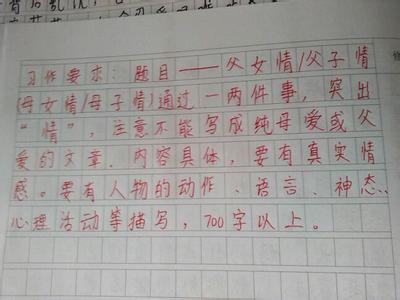 尝试作文450字六年级 一次家务活的尝试小学4年级作文