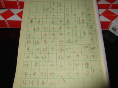 家务劳动日记100字 家务劳动日记