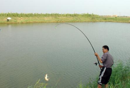 泰拉瑞亚钓鱼断线 钓鱼断线的的四种原因