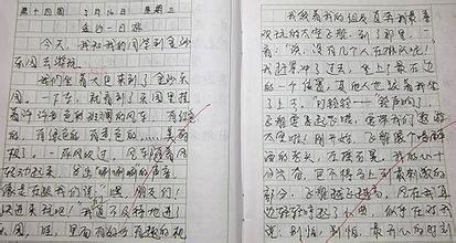 第一次做家务1000字 第一次做家务400字作文