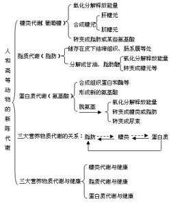 影响新陈代谢的因素 新陈代谢对健康有什么影响