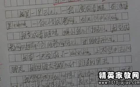 年度考核自我鉴定范文 小学教师年度考核自我鉴定范文