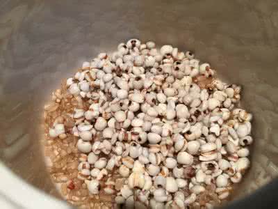 糙米如何发芽 糙米应该如何做