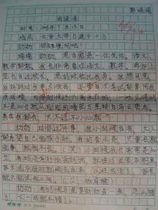 作文我学会了做饭 学会做饭的小学5年级作文