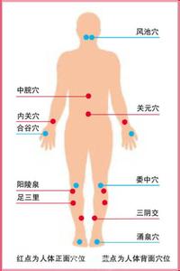 养生十大妙招 人体十大养生穴