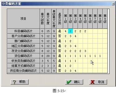 初级会计电算化软件 初级会计电算化的内容