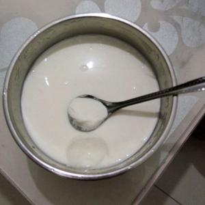 家常菜制作步骤 老酸奶怎么做才好吃 家常老酸奶的制作方法步骤