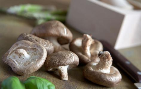 蘑菇食用方法 蘑菇的烹饪方法及食用价值