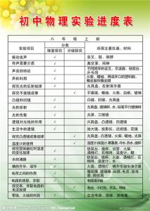 初中物理教学反思 初中物理实验教学反思2篇