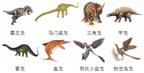 恐龙种类介绍及图片 不同种类恐龙的介绍