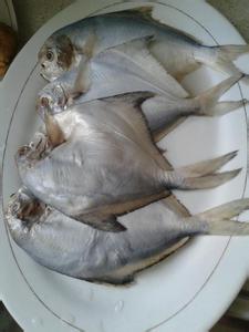 海鱼烹饪食法 海鱼烹饪方法(2)