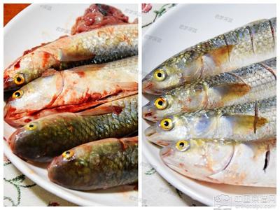 烹饪 墨古加格梭鱼 梭鱼烹饪方法