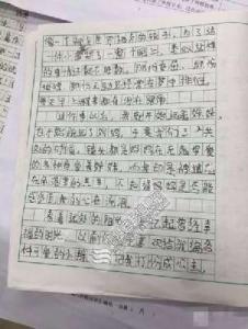 难忘的一次经历作文 一次难忘的做家务的经历作文