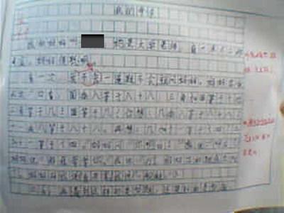 一件家务事作文400字 写家务事的作文400字(2)