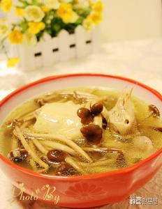 茶树菇炖鸡汤的做法 茶树菇炖鸽子汤的做法