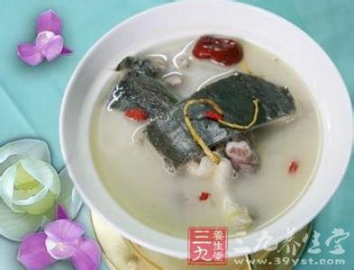 甲鱼烹饪 烹饪甲鱼的做法